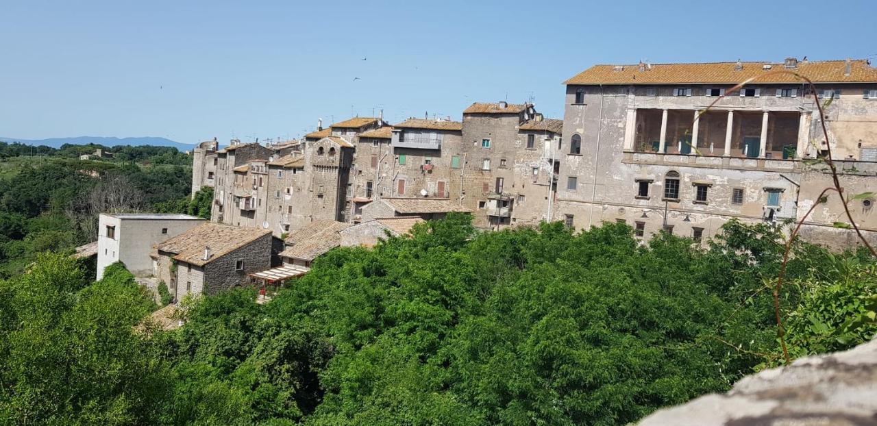 ホテル Torrebeatrice バニャイア エクステリア 写真